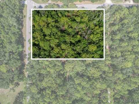 10049 N Sun City Terrace, Dunnellon, FL 34433