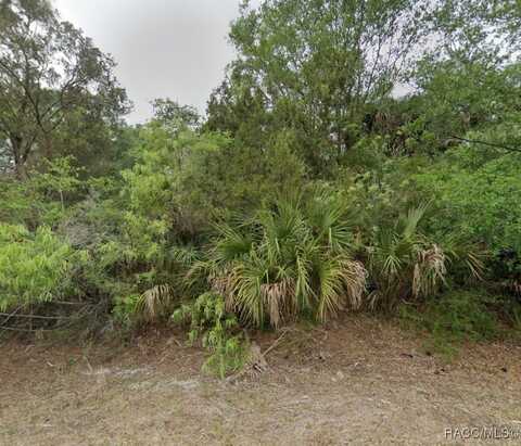 8272 N Maple Avenue, Crystal River, FL 34428