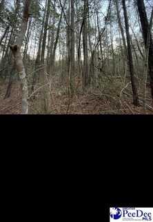TBD US HWY 52, Cheraw, SC 29520