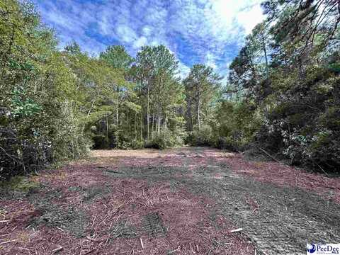 TBD US HWY 52, Cheraw, SC 29520