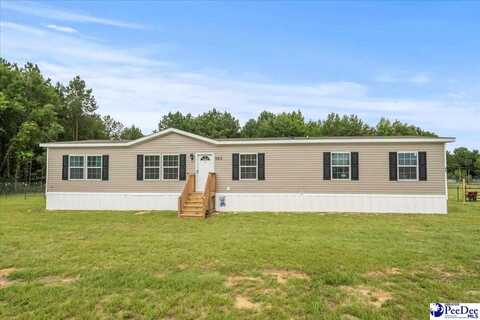 553 W Canal Rd., Dillon, SC 29592