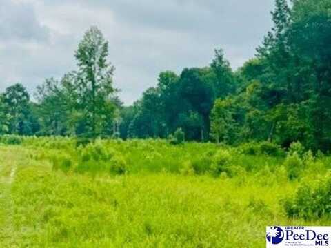 0000 Santa Anita Road, Cheraw, SC 29520