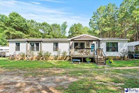 224 Coxe Road East, Blenheim, SC 29516