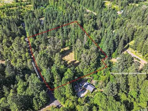 Fern Meadow RD, Stevenson, WA 98648