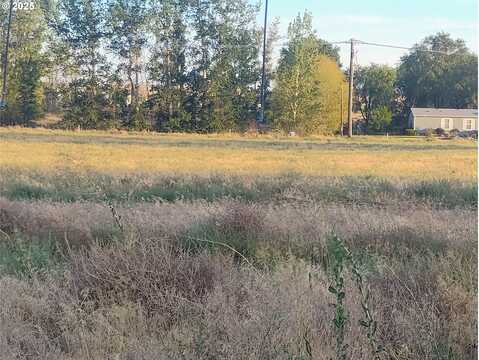 DEPOT LN, Irrigon, OR 97844