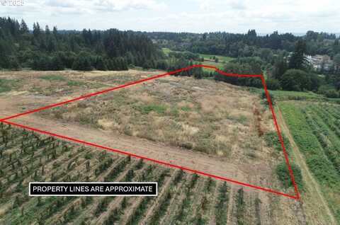 0 NW 169th ST, Ridgefield, WA 98642