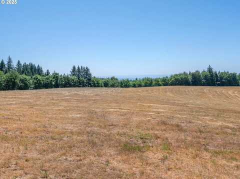NW Munson RD, Hillsboro, OR 97124