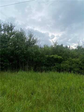 19xx 240th Avenue, Eureka, WI 54024