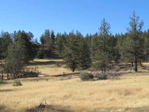U-4 Lot 28 Whitepine St, Hornbrook, CA 96044