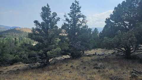 Lot 264 Stag St, Weed, CA 96094