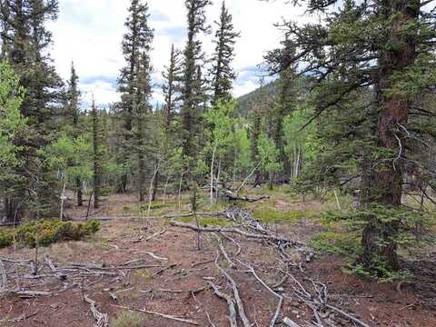256 BEAR WAY, Como, CO 80432