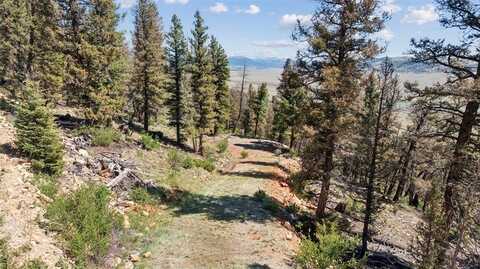 1050 MIDDLE FORK, Fairplay, CO 80440