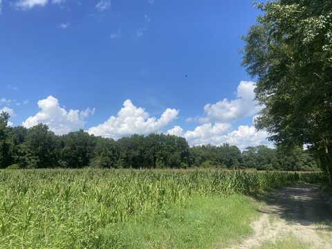 0 Muller Drive, Manning, SC 29102