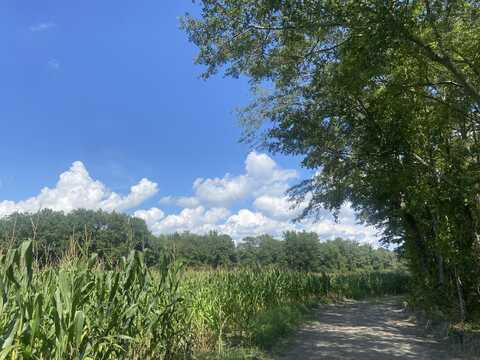 0 Muller Drive, Manning, SC 29102
