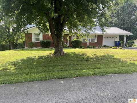 208 Patterson Street, Gamaliel, KY 42140