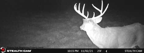 Elk Creek Road, Viola, WI 54664
