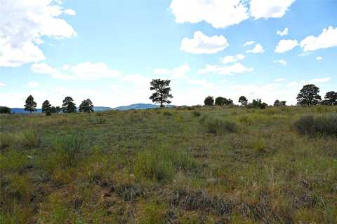 00 1796, Chama, NM 87520