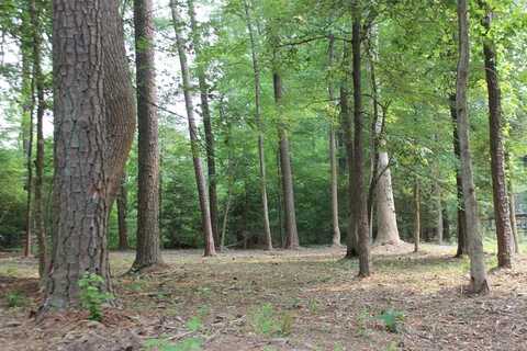 2106 BUCCANEER BLVD, GREENBACKVILLE, VA 23356