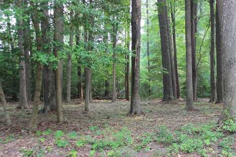2105 BUCCANEER BLVD, GREENBACKVILLE, VA 23356