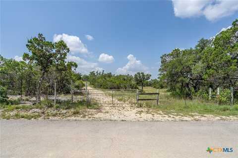 19705 Tyler Trail, Jonestown, TX 78645