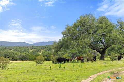9069-47 Ranch Road 1323, Fredericksburg, TX 78624