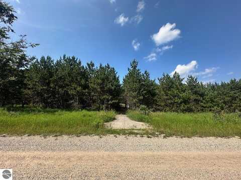 7304 Hemstreet Road, Bellaire, MI 49615