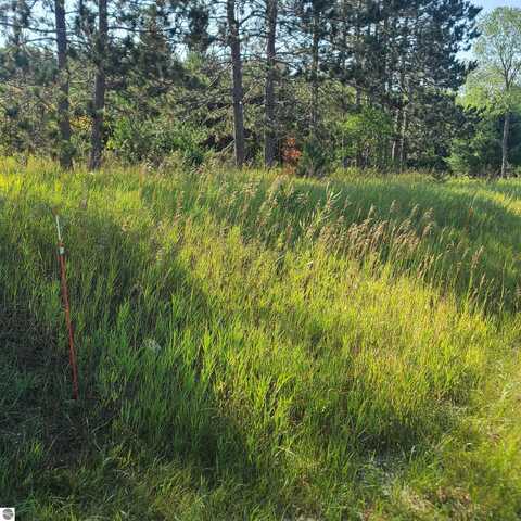 0002 M-66 SE, Fife Lake, MI 49633