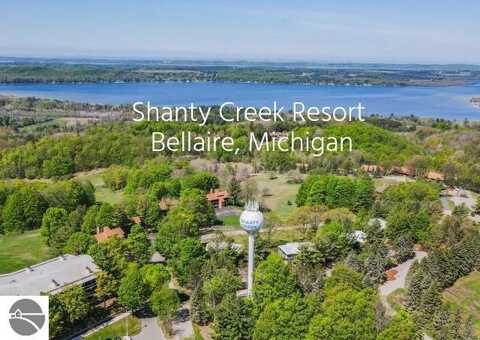 5828 Shanty Creek Road, Bellaire, MI 49615
