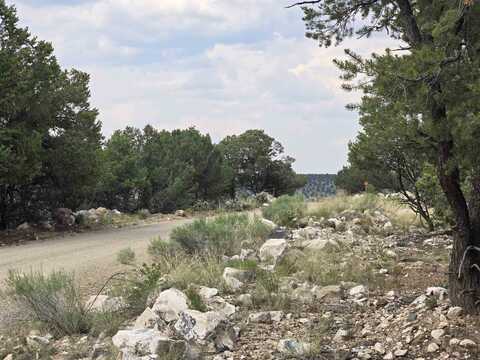 Lobo Ranch Road, Arroyo Hondo, NM 87513