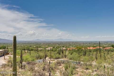10215 E Sabino Estates Drive, Tucson, AZ 85749