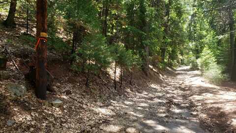 00 Clark Street, Dunsmuir, CA 96025