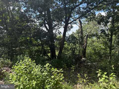 0 FIRE TOWER ROAD, GREAT CACAPON, WV 25422