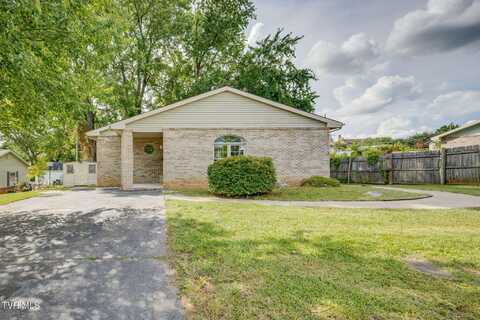 1009 East Myrtle Avenue, Johnson City, TN 37601