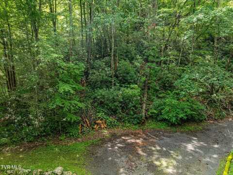 Tbd Omaha Road, Del Rio, TN 37727