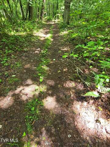Tbd Dry Branch Road, Elizabethton, TN 37643