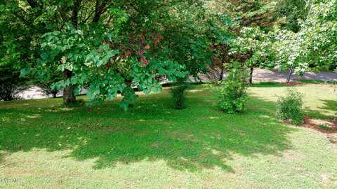 0 Laurel Street, Weber City, VA 24290