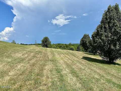 Tbd Dulaney Road, Mosheim, TN 37818