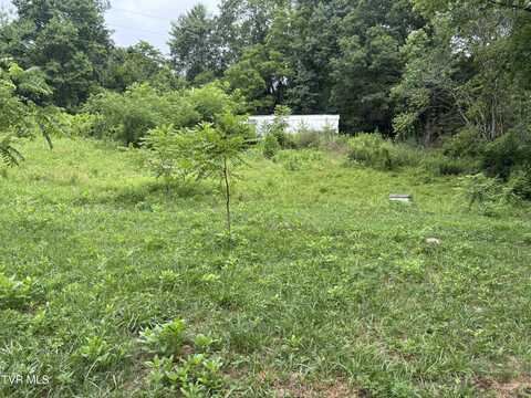 Tbd Of Fire Tower Road, Mountain City, TN 37683