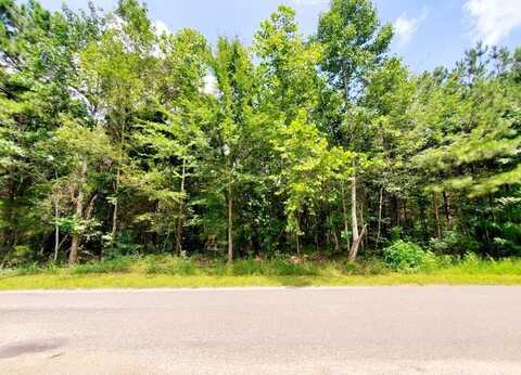 Bethel Farm Loop, CAMDEN, TN 38320
