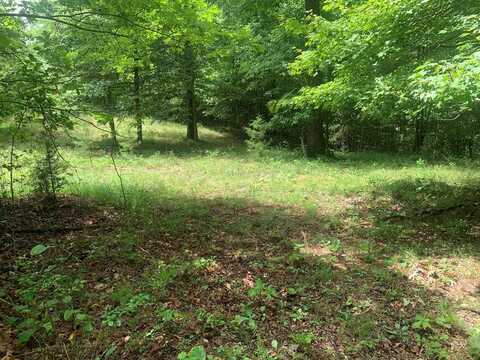 Lot 56 Meadow Drive, Spencer, TN 38585