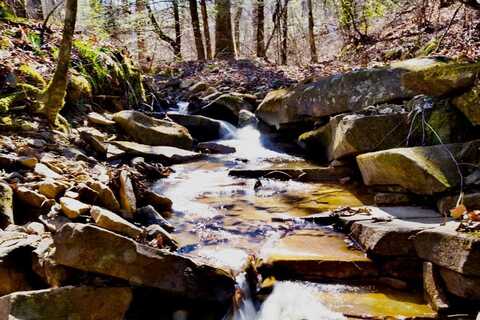 266AC Meadow Lark, Dunlap, TN 37327
