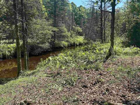 TBD Beaver, Perkins, MI 49872