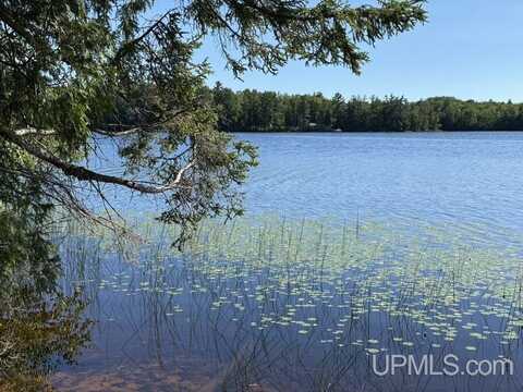 8713 N Boot Lake, Manistique, MI 49854
