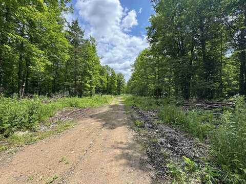 33 Acres Off Bates Amasa, Crystal Falls, MI 49920