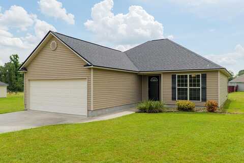 34 Palmetto Pines Lane, Ray City, GA 31645