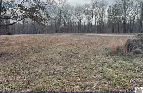 1802 Bryant Rd, Benton, KY 42025