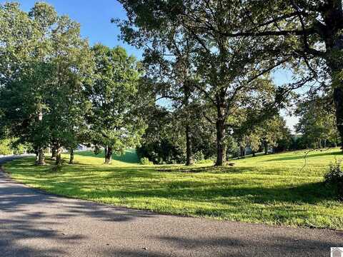 000 Lesley Ln, Eddyville, KY 42038
