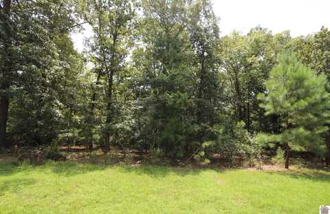 Lot 46 Waterfowl Ln, Murray, KY 42071