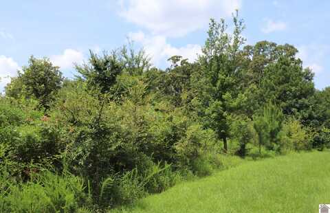 Lot 58 Kirk Ridge Road, Murray, KY 42071