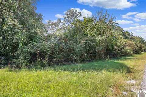 Lot #90 Pelican Lane, Murray, KY 42071